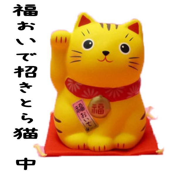 黄色い招き猫はあなたの願いを叶えます!右手で金運を招く福おいで招きとら猫・中【あす楽】【招き猫 置物/招き猫 販売/まねき猫/開運グッズ/招き猫通販/外国人 お土産/猫 雑貨/ネコ グッズ/ねこ グッズ/風水 置物/開店祝い・縁起物 の オルネコイデ】/