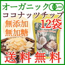 【送料無料・お得な12袋】<有機JAS・無添加>オーガニックココナッツチップス ロースト 100g×12袋/美容・ダイエットに◎なヘルシーおやつ♪砂糖不使用・無漂白・ノンフライ
