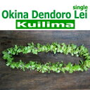 Kuilima single