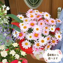 母の日 プレゼント ギフト 花ジャスミン ラベンダー クチナシ等 人気のお花たちスイーツセットにもできますこだわりラッピング全国送料無料
