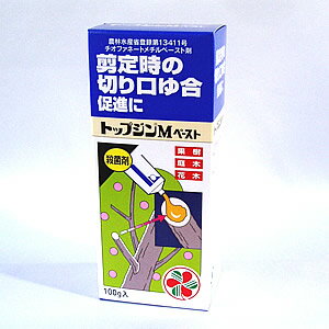 トップジンMペースト 100g