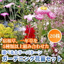 ★楽天1位★送料無料 他品同梱可 宿根草もいっぱい!選べるカラーパターン!ガーデニング 花苗セット 20株セット!*ただし、お届け地域によっては差額送料が発生します。