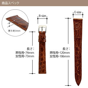 MORELLATO社製時計バンドトレイシー