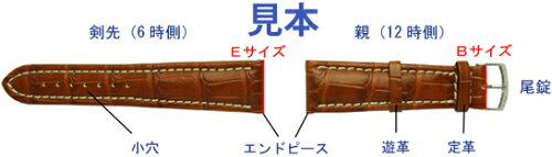 見本