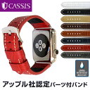 アップル社認定パーツ付バンドアップルウォッチ 42mm用 専用バンド カシス製 腕時計ベルト TYPE PAN (タイプ パン) 時計ベルトMade for Apple Watchサードパーティ