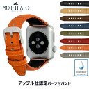 【アップル社認定パーツ付バンド】アップルウォッチ 38mm用 42mm用 専用バンド イタリア モレラート 社製腕時計ベルト SOCCER(サッカー) 時計ベルト【Made for Apple Watch】サードパーティ