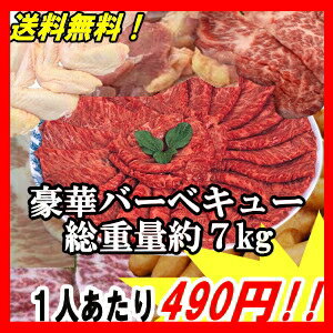 総重量約7kgのセット（20人前）お花見、レジャーにお買得！【送料無料】厳選・特選バーベキューセット　特製タレ、箸、紙皿付　総重量約7kg　（20人前）