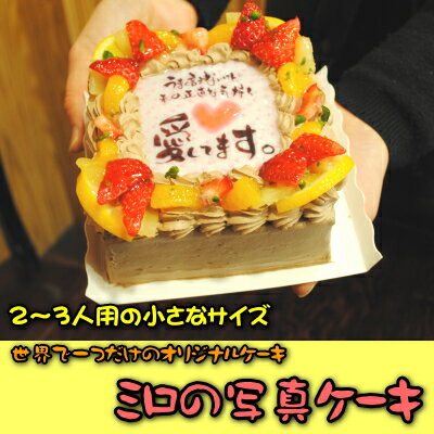 ケーキ 誕生日 写真ケーキ SSサイズ(12cm×12cm) 2〜3人用 （生クリーム・生チョコレー...:manpuku8929:10000383
