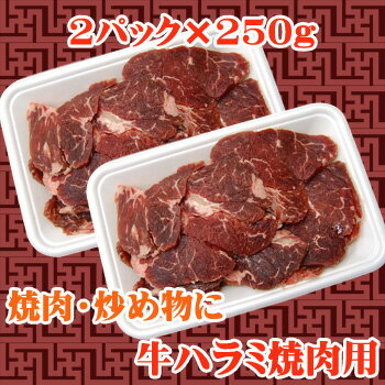 焼肉に最適カット　牛ハラミ焼肉用　500g(250g×2)