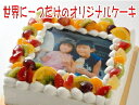 ケーキ 誕生日 写真ケーキ Mサイズ(18cm×18cm) 5~8人用 (ガナッシュチョコ・モンブラン・レアチーズ)同梱不可 楽天通販 ギフト プレゼント スイーツ