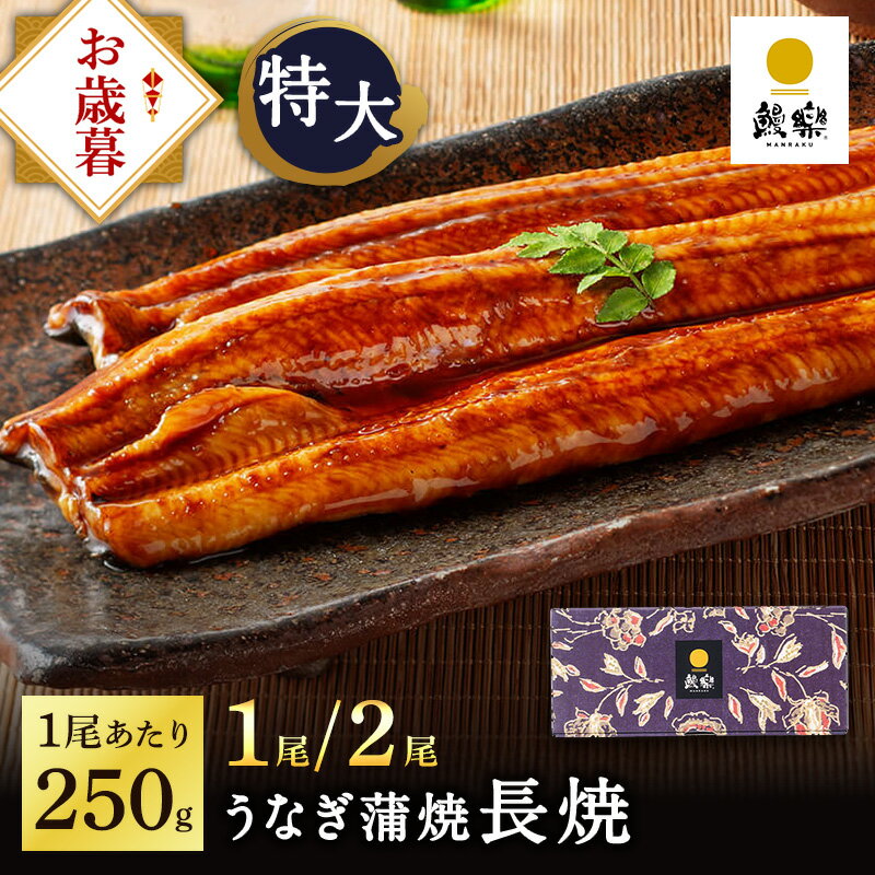 <strong>鰻楽</strong> 宮崎県産うなぎ 蒲焼 特大サイズ 2尾 お歳暮 ギフト うなぎ 国産 <strong>鰻楽</strong> 国産うなぎ蒲焼 ウナギ 鰻 内祝い 出産祝い 誕生日祝い お礼 肉厚 プレゼント グルメ お取り寄せグルメ