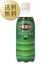 送料無料 ウィルキンソン ジンジャーエール ペットボトル 2ケース 48本入り 500ml 九州、北海道、沖縄送料無料対象外、クール代別途 他商品と同梱不可 あす楽