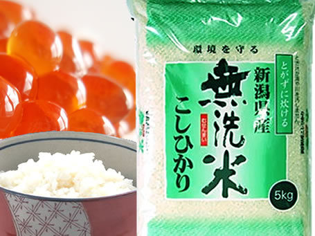 23年産　無洗米　新潟県産コシヒカリ 5kgx1袋 保存包装 選択可