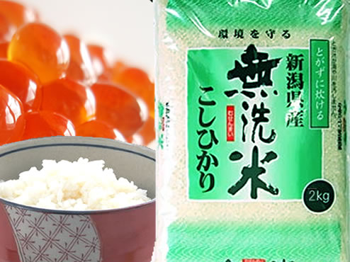 23年産　無洗米　新潟県産コシヒカリ 白米2kgx1袋 保存包装 選択可　