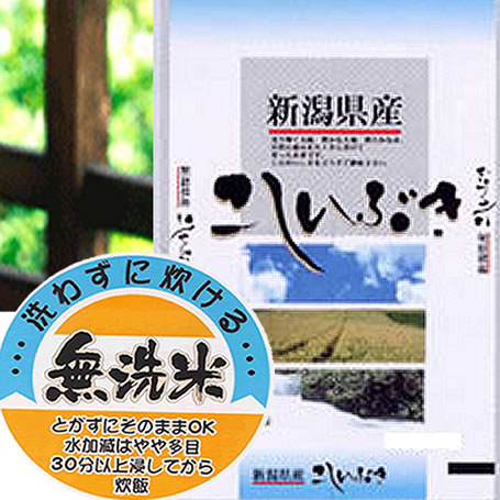 【20kg単位送料無料】23年産 無洗米 新潟県産こしいぶき 5kgx1袋 長期保存包装 選択可