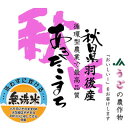 【20kg単位送料無料】【循環型農業】「特A」受賞 無洗米 28年産秋田県うご産あきたこまち JAうご 白米5kgx1袋 米粉加工/保存包装 選択可