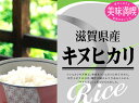 グルメ近江米 24年産滋賀県産キヌヒカリ 白米10kgx1袋 玄米/無洗米加工/保存包装 選択可
