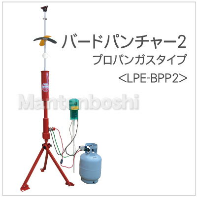 Q΍ ^CK[ o[hp`[ vpKX [LPE-BPP2]yJX qh @ ʎz V