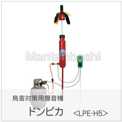 Q΍ ^CK[ hsJ[LPE-H5]yJX qh @ ʎ ߁z V