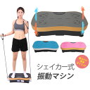 振動マシン シェイカー式 【バージョンUP版】5モード 99段階調整 ぶるぶる マシン 筋
