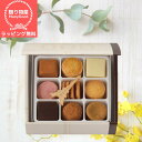 ショッピングアンリシャルパンティエ 【ラピング無料】【送料無料】アンリ・シャルパンティエ プティ・タ・プティ Sボックス 内祝 出産内祝い 送料無料 お返し お菓子 ギフト 個包装 洋菓子セット 詰め合わせ 個包装 結婚内祝い ギフトセット 写真入り メッセージカード