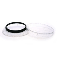 �Կ��ʥ����������MAPCAMERA���ꥸ�ʥ� �ݸ�ե��륿�� MC-N 43mm