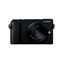 《新品》Panasonic (パナソニック) LUMIX D...