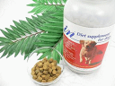 プレミアムサプリメント「IN」イン犬用 3kg