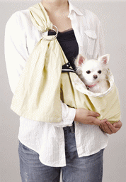 ò3903150ߤ̵ۥ󥰥Хå١ ʥɥå󥰡