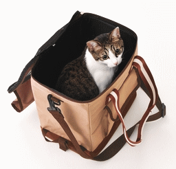 괶ΤBOXס̵ò3903150߰ʾ̵ۥڥƥǭѤǤХå١smtb-k