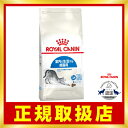 【毎週入荷の新鮮在庫】室内猫用ロイヤルカナンインドア2kg