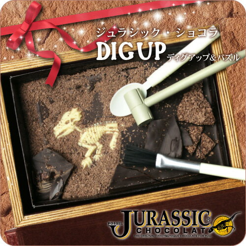【恐竜】最高級チョコレートを使った、割って！掘って！楽しむチョコレート★ジュラシックショコラ【ディグアップ】（チョコレート）
