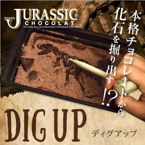 【送料無料】【恐竜】最高級チョコレートを使った、割って！掘って！楽しむチョコレート★ジュラシックショコラ【ディグアップ】（チョコレート）【お子様へ】【お子様に人気♪】
