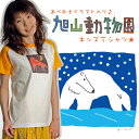 あべ弘士イラスト入り♪旭山動物園グッズ☆キッズTシャツ[アジアン ファッション アジアン雑貨 エスニック ファッション オリエンタル アジアンテイスト 北海道 旭川市 あさひやまどうぶつえん お土産 おみやげ]