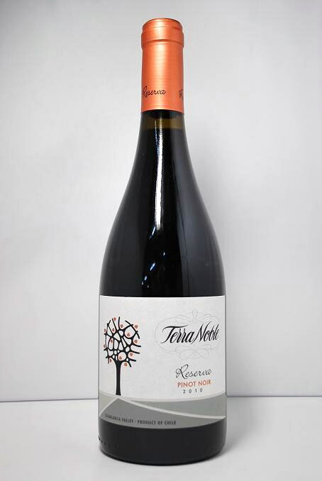 テラノブレ　ピノ・ノワール・レゼルバ [2010]TERRANOBLE　Pinot Noir Reserva