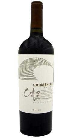 テラノブレ　カルメネーレ CA2 [2010]TERRANOBLE　Carmenere