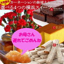 遅れてごめん/カーネーション陶器鉢と4種の選べる横浜スイーツセット/花鉢/■/送料無料/濃厚ショコラやチーズパイ、文明堂カステラなど横浜スイーツと陶器鉢のカーネーション