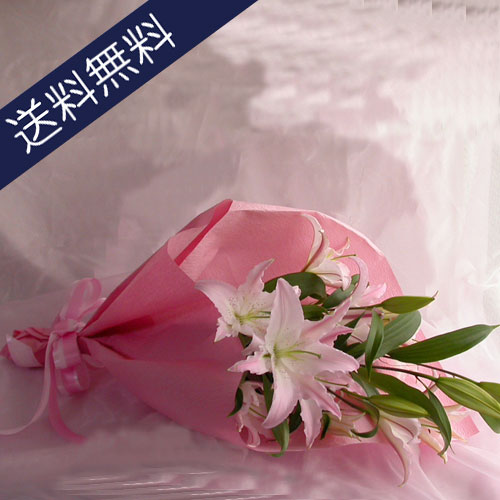 フラワーギフト 大輪のピンクの百合3本の花束【生花】【送料無料】/サマーセール