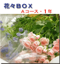 花々BOX・【Aコース】X1年(12回分)生花 送料無料 頒布会 花定期便 (お祝い プレゼント ギフト 結婚祝い 誕生日(お祝い プレゼント ギフト 結婚祝い 誕生日 フラワーギフト 贈り物 女友達 お花 季節の花 お誕生日 母の日 バレンタイン お返し ホワイトデー お返し)