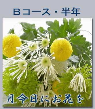 月命日に毎月花を/Bコース半年6回/お悔やみ/お供え 生花(命日 お悔み用 お悔やみの花 彼岸花 ギフト お供え花 枕花 仏事 三回忌 法事 墓前 供花 一周忌 仏壇 仏前 お彼岸 御供え 法要 お花 四十九日 金額 花束 供養 弔事 御供物 お供え物 仏花 お寺 お得 通販 楽天)売れ筋