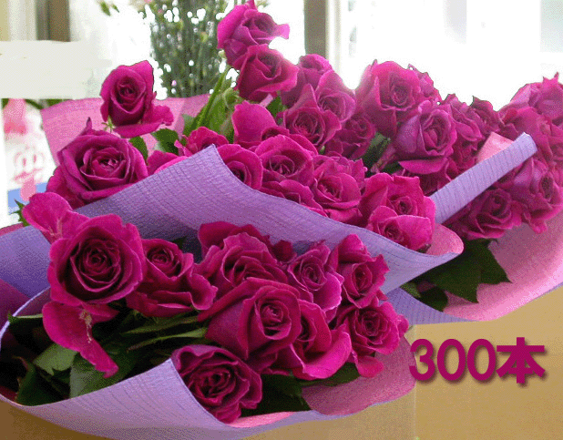 ڤǤʥХڥХβ«۲ڤ䤫ʥԥ󥯤ΥХ300ܤβ«