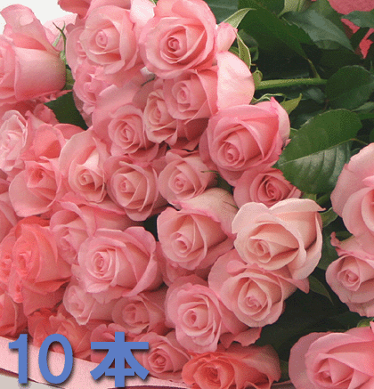 ͥ£ڥХβ«ۤ䤵ԥ󥯤ΥХ10ܤβ«