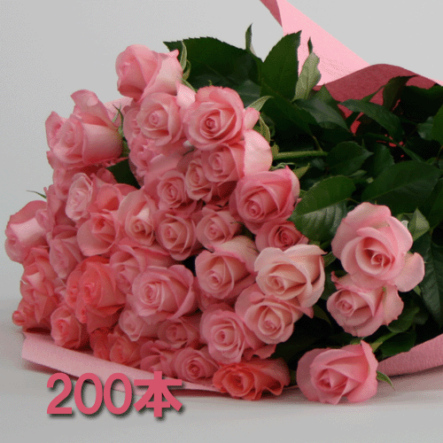 ͥ£ڥХβ«ۤ䤵ԥ󥯤ΥХ200ܤβ«