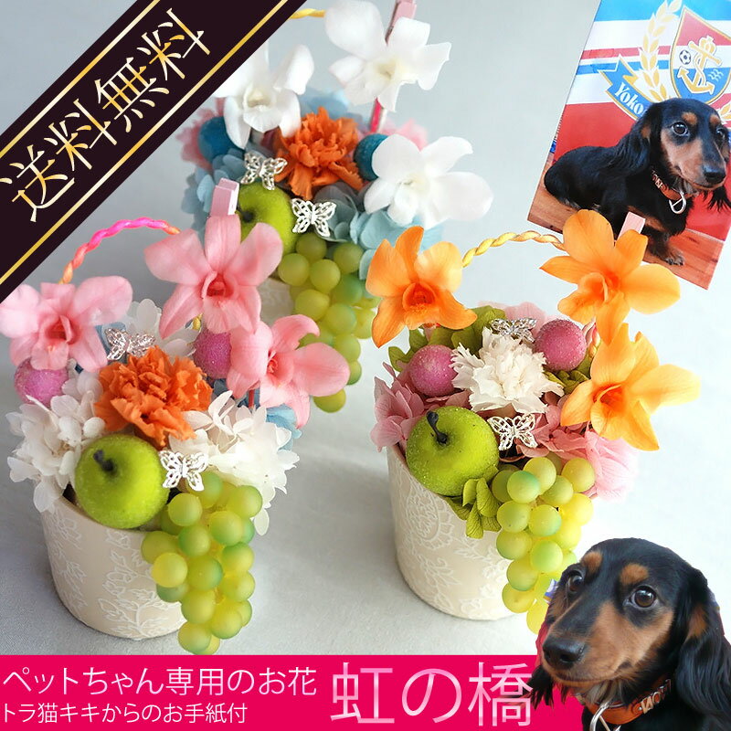 虹の橋-プリザ-┃プリザーブドフラワー お供え 花 ブリザードフラワー 送料無料 献花 命…...:marika:10002534