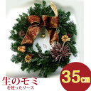 クリスマスリース フレッシュ『ベーシックリース・生』35cm(玄関 玄関 飾り リース ギフト スタンダード レストラン ホテル おしゃれ 生のリース オリジナル ナチュラル 花まりか) ゴールド