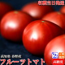 高知県春野産 高濃度 フルーツトマト 約2kg 家庭用 小玉 高糖度 お歳暮 ギフト プレゼント お取り寄せ 送料無料