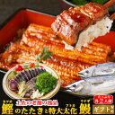 \初鰹入荷/土佐沖 日戻り 藁焼き鰹たたきと国産太化うなぎセット( 蒲焼き 白焼き 選べるうなぎ) 父の日 母の日 土用の丑 誕生日 ギフト 贈答用 送料無料