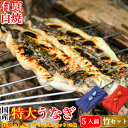\お歳暮風呂敷ギフト/ 国産 太化うなぎ 特大 白焼き(竹)セット 送料無料 長白焼き 220-250g×1本 ハーフカット1/2×1枚 カット1/3×2枚 土用の丑 内祝 誕生日 プレゼント ギフト お祝い ご贈答用