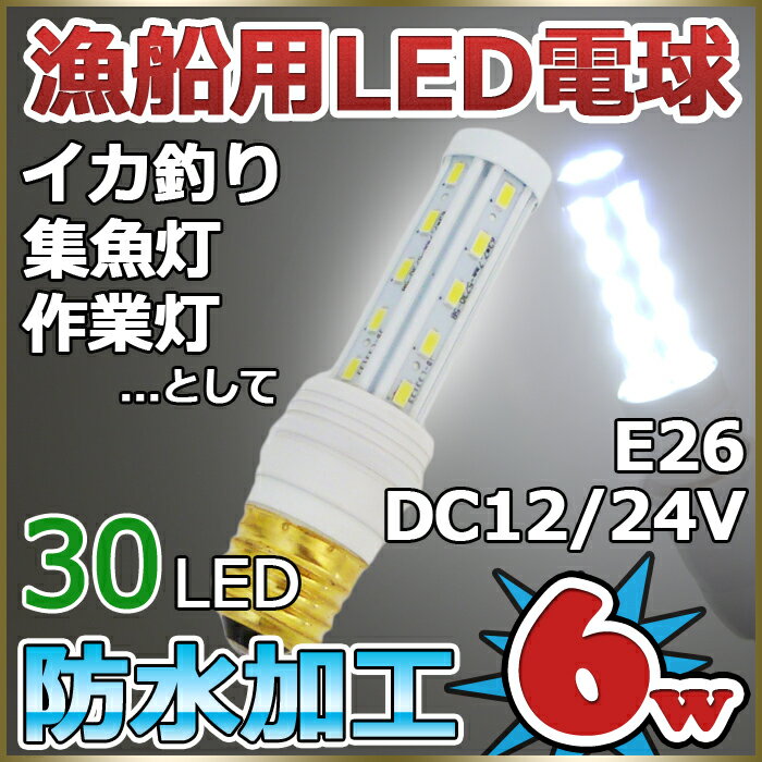 【漁船用LED電球】E26口金 12v 24v兼用 6w 6000k 防水 イカ釣り 漁船 集魚灯 ...:marineshop:10000698