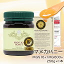 【もれなくポイント5倍以上!】 【30本限定】 マヌカハニー MGS 16+ /MG 600+ 250g 1